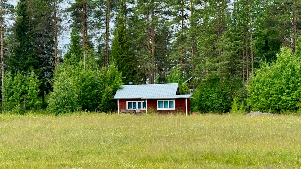 A red cabin in the woods sits in a field with trees.