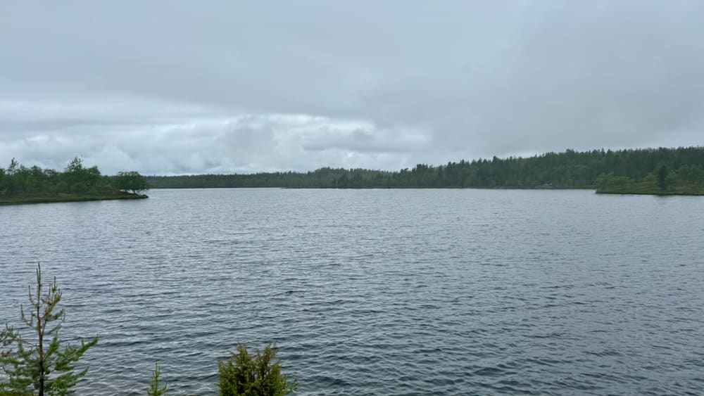 A large body of water with trees in the background.