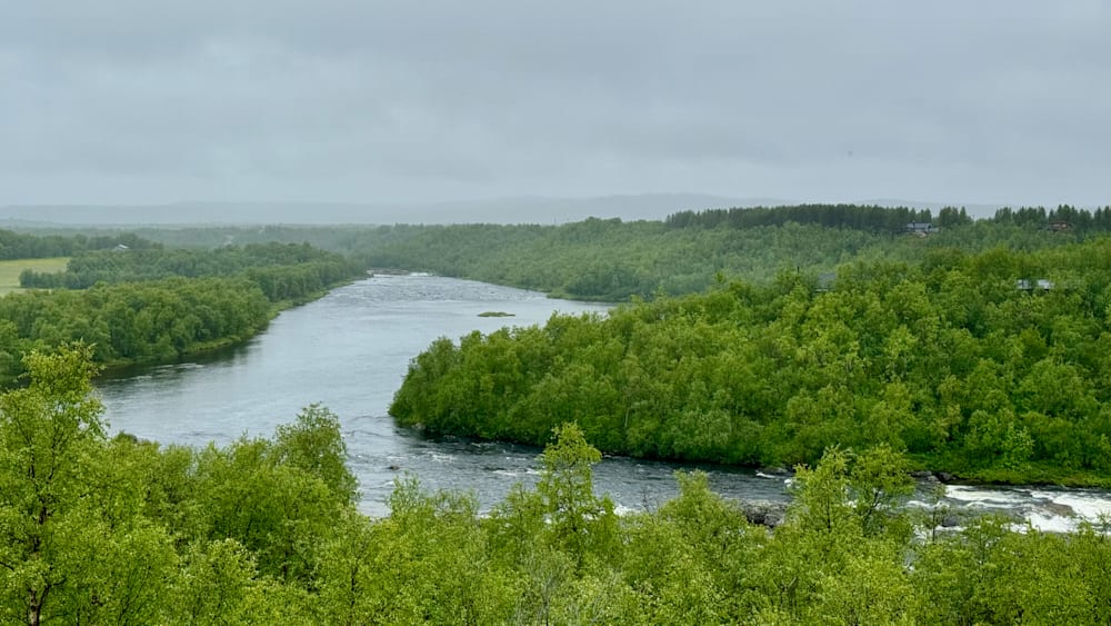 A river flows through a lush green forest.
