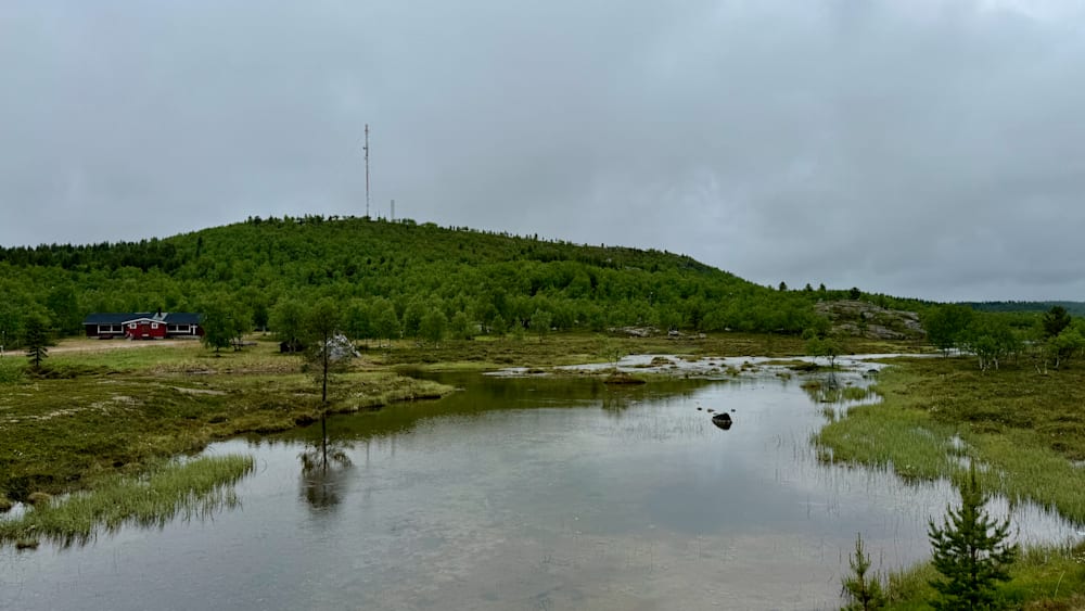 A pond on a hillside surrounded by trees with a bird in the water.
