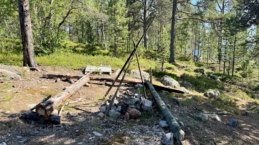 A clearing in the woods with a fallen log and some rocks.