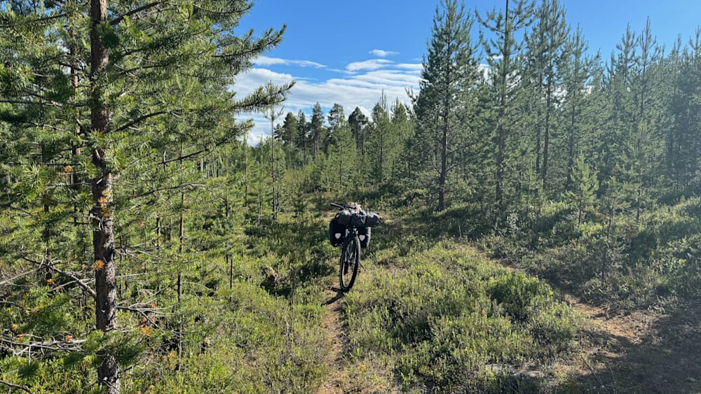 A bicycle is in the middle of a field with trees in the background.
