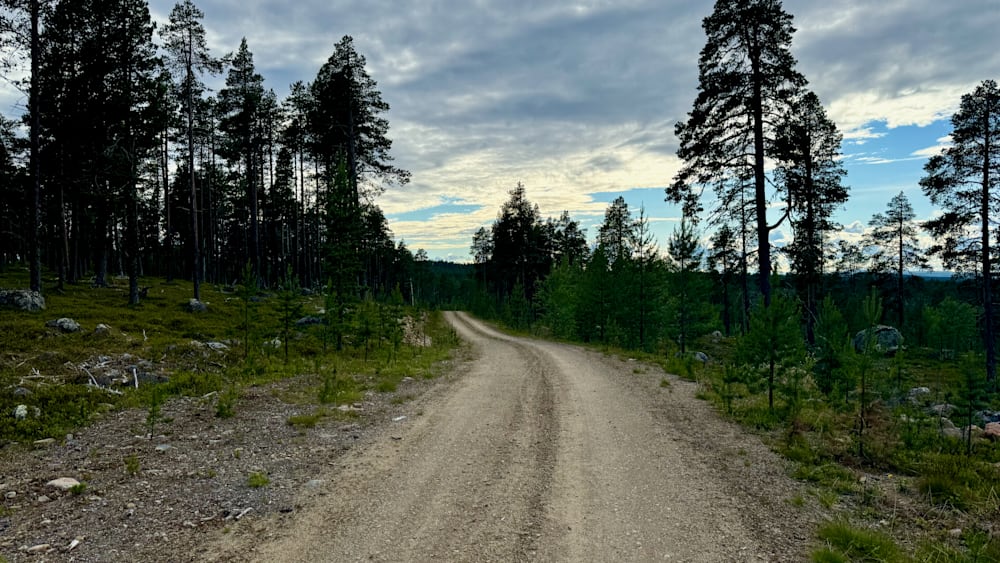 A dirt road winds through a wooded area with trees on either side.