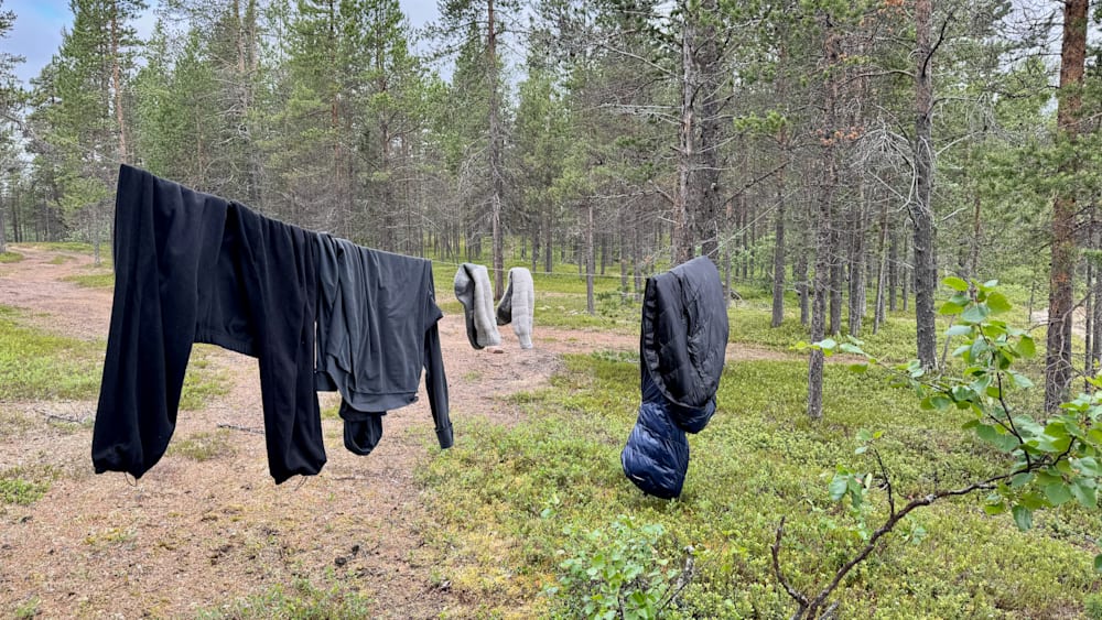 Clothes hanging on a line in the woods with trees in the background.