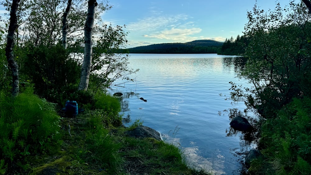 A lake with a tree on the shore and a backpack on the grass.