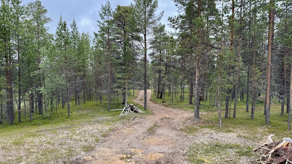 A dirt road cuts through a wooded area with trees on both sides.