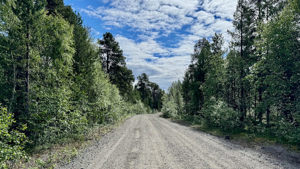 A gravel road leads into the woods with trees along the sides.