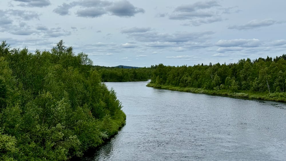 A river flows through a wooded area with a tree-lined bank.