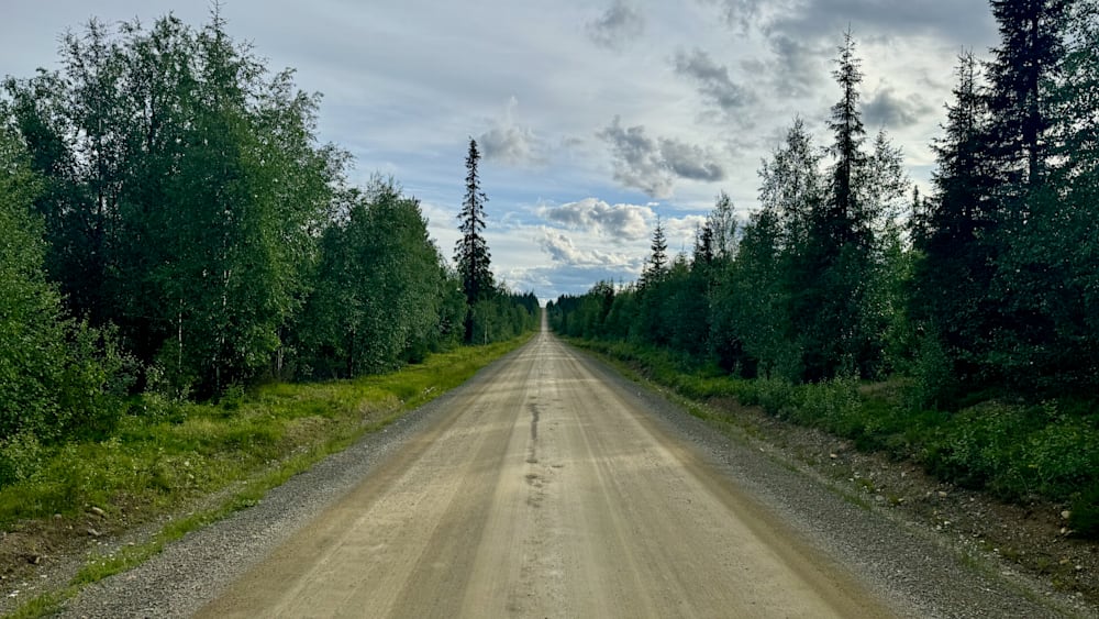 A road that runs through a forest is described as being very narrow.