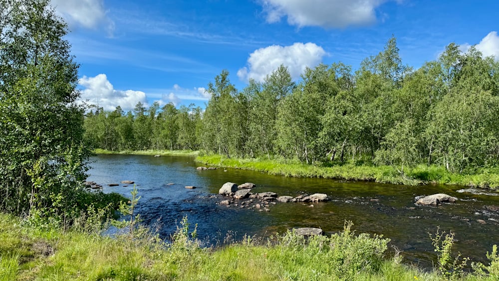 A stream with rocks in it is shown with trees in the background.