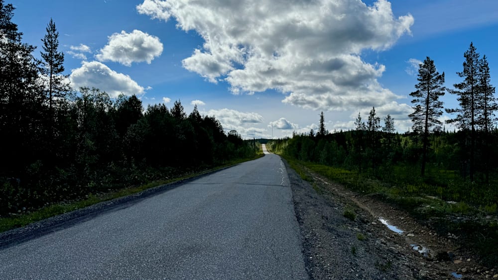 A road goes by a wooded area with some trees in it.
