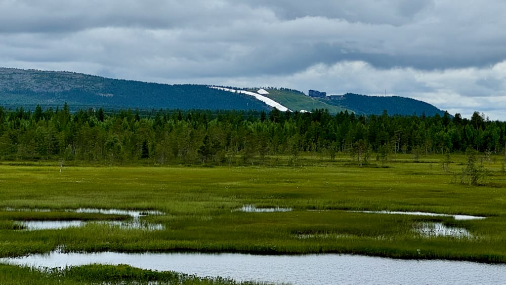 A large body of water with trees and grass on the other side of it.