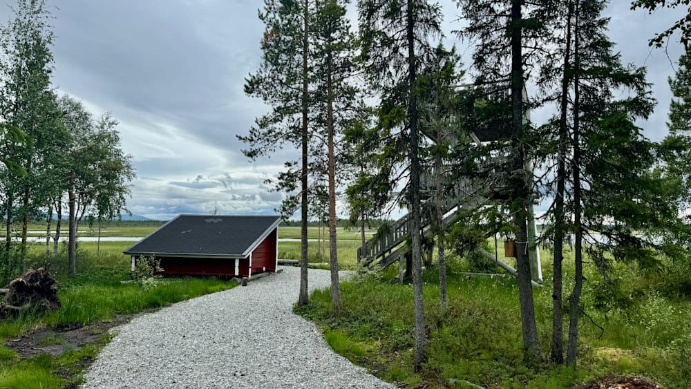 A red shed sits along a gravel path beside a forest of tall trees.