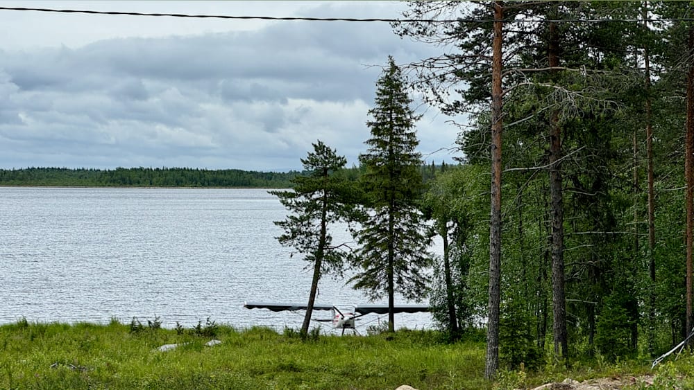 An airplane is on land next to a body of water and trees.