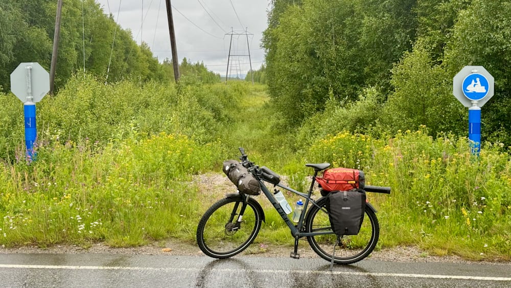 A black bicycle with a red pack on the back is parked next to a power pole and some flowers.