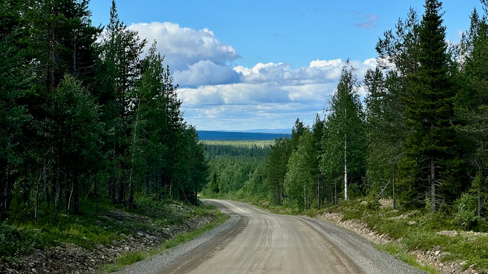 A road cuts through a wooded area with trees on both sides.