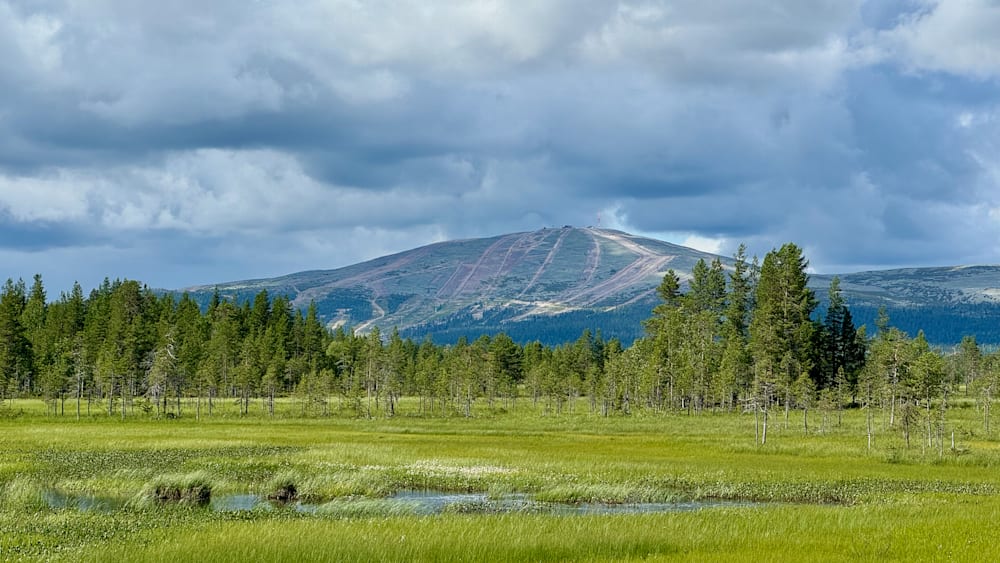 A long shot of a field with a mountain in the background.