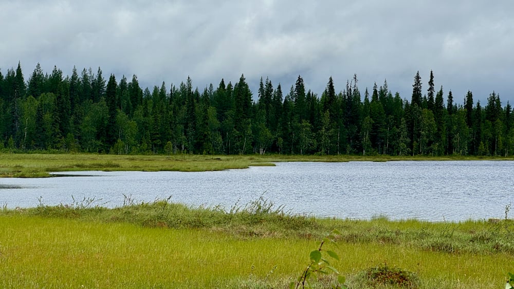 A large body of water surrounded by trees and grass.