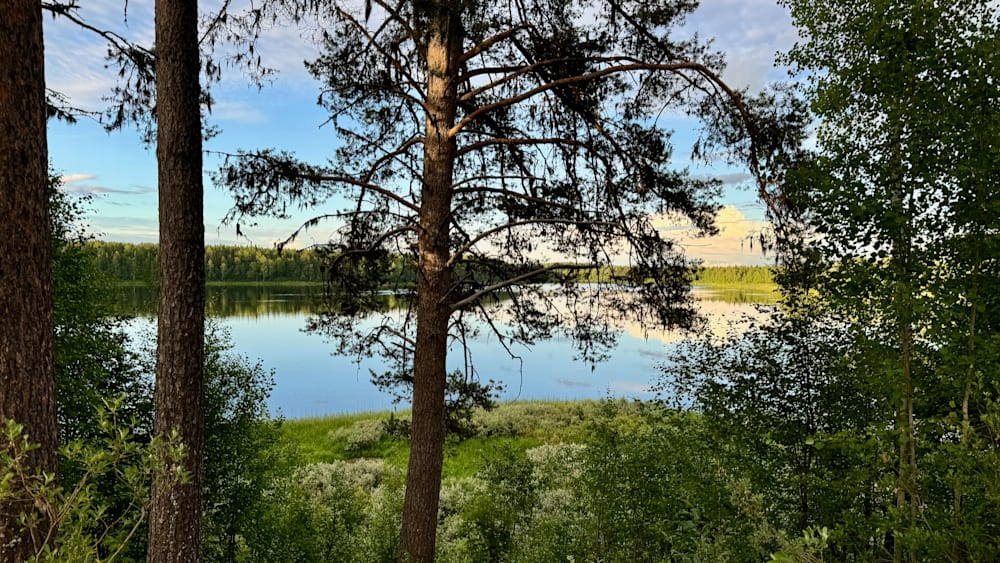 A tree is in front of a lake with a reflection in the water.