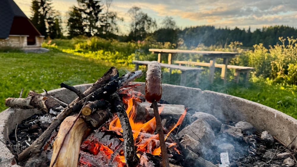 A hot dog on a stick in a fire pit with burning logs.