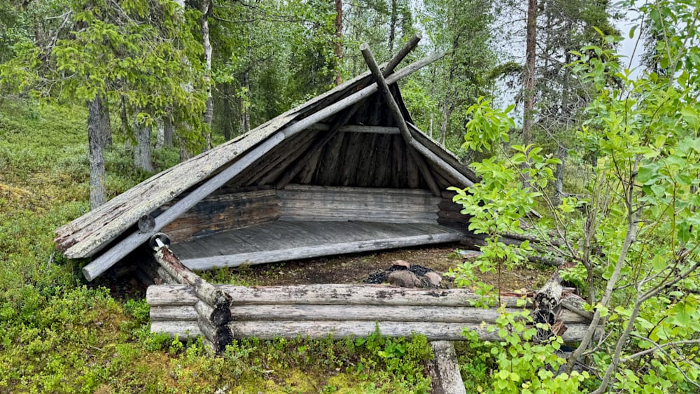 A shed with a thatched roof is in a wooded area with trees.