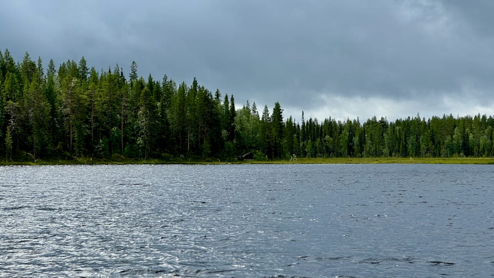 A lake surrounded by trees on a cloudy day.