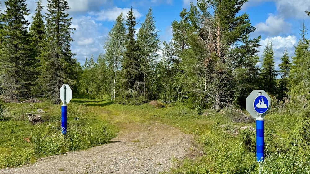 A road through the woods is very quiet and empty aside from a stop sign in the foreground.