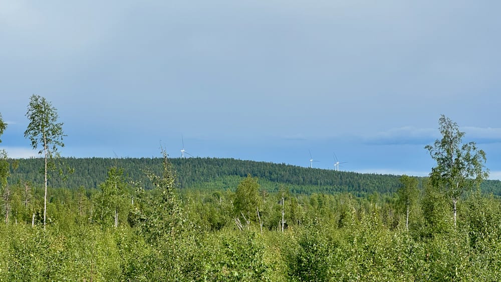 A field with windmills in the distance and trees all over.