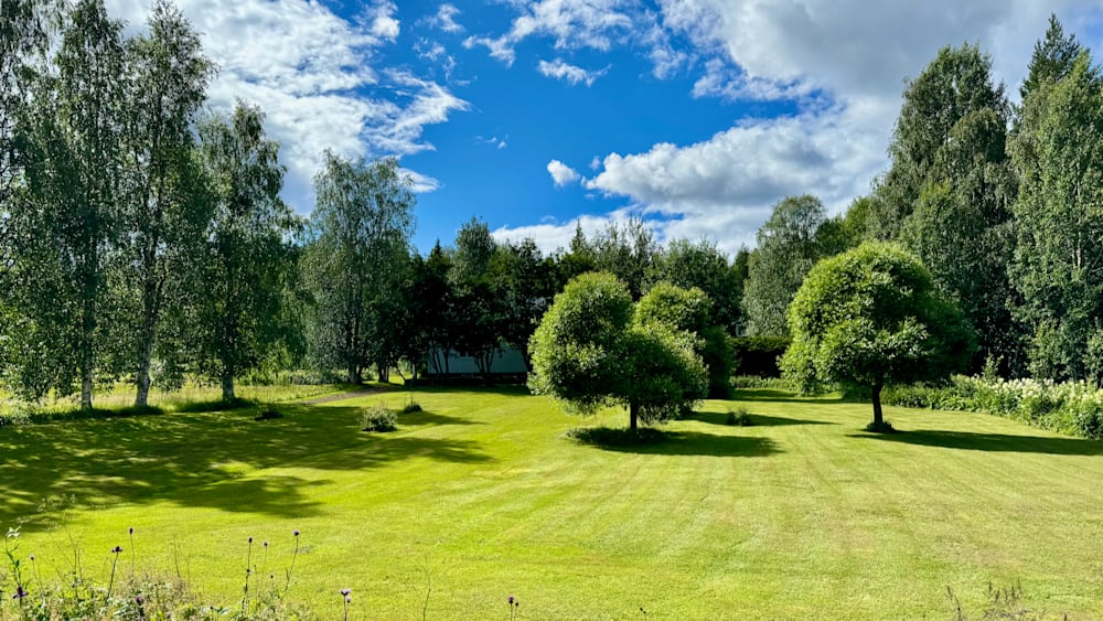 A large, green field with a tree in the middle of it.