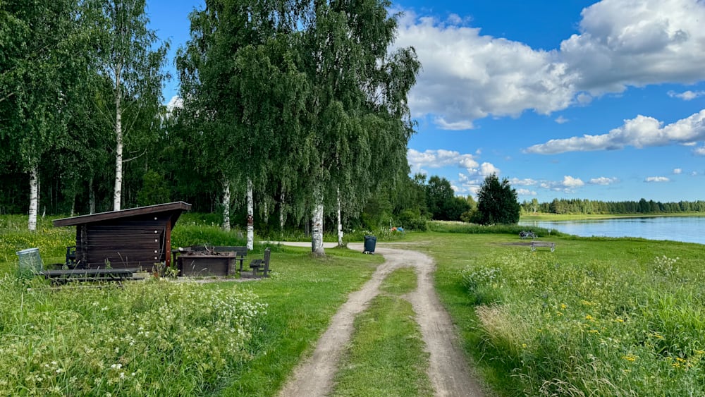 A dirt road leads to a wooded area with a picnic table and grass.