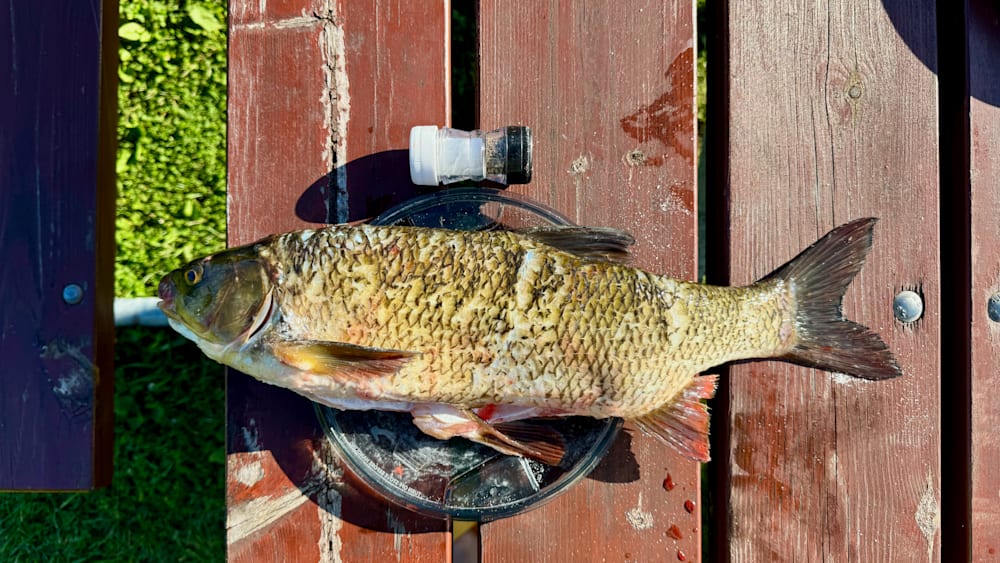 A fish is on a wooden surface and next to a salt shaker.