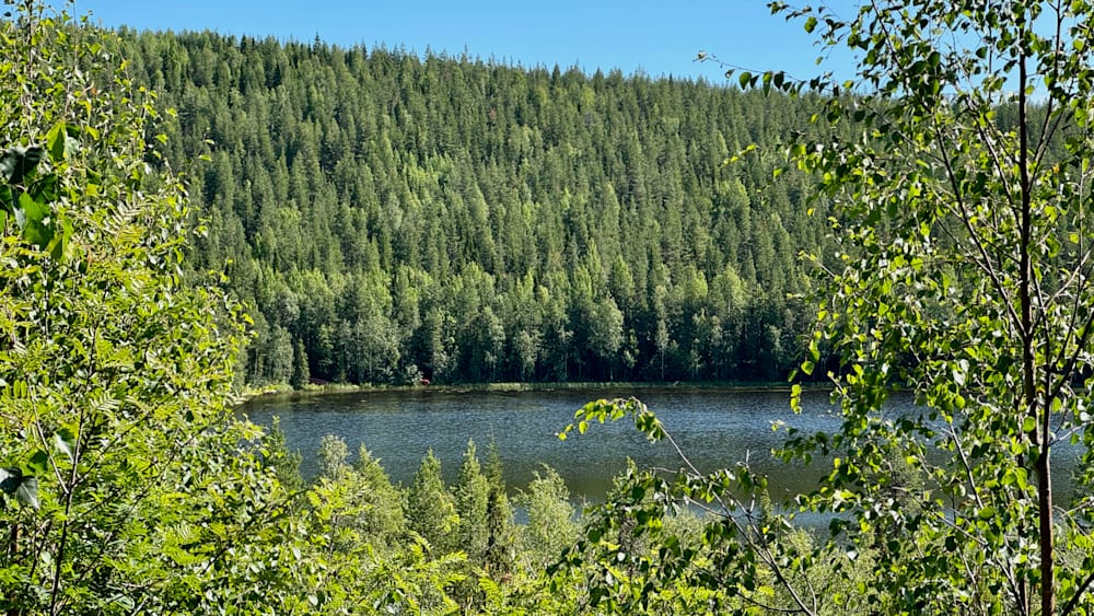 A lake is surrounded by trees and is partially hidden by the trees.