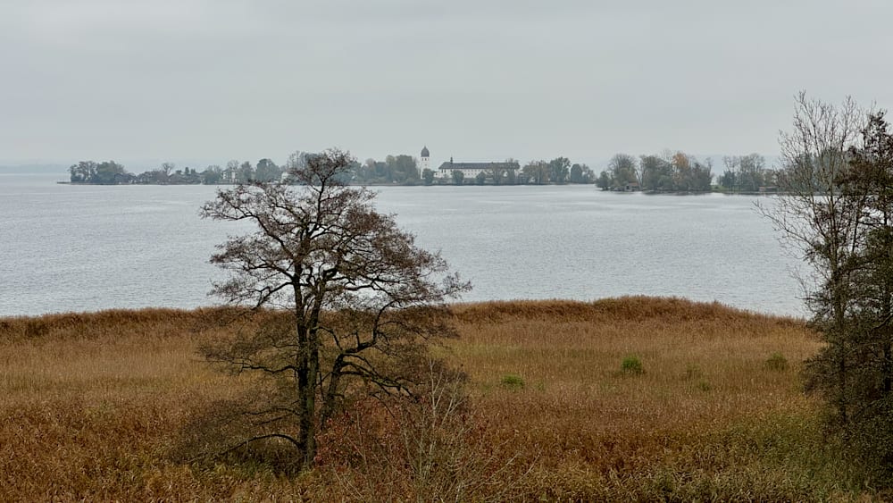 A tree is in front of a lake with a castle in the background.