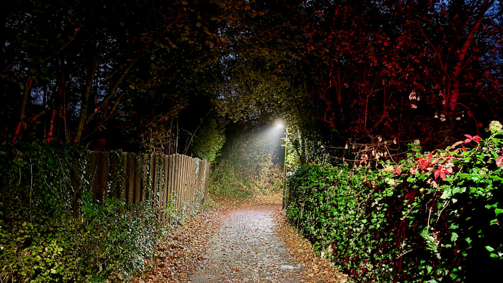 A dark path through the woods with a light on in the tunnel.