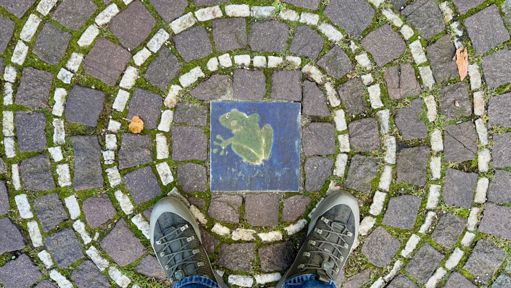 A person standing on a piece of art with their right foot showing, the art has a frog in it.