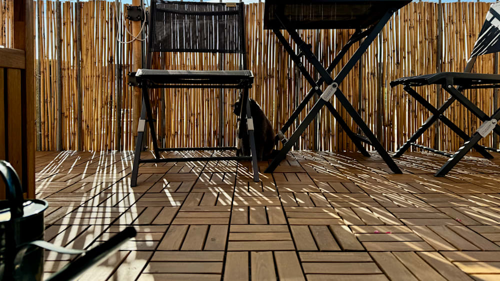 A cat is sitting on a chair under a fence and the chair is black.