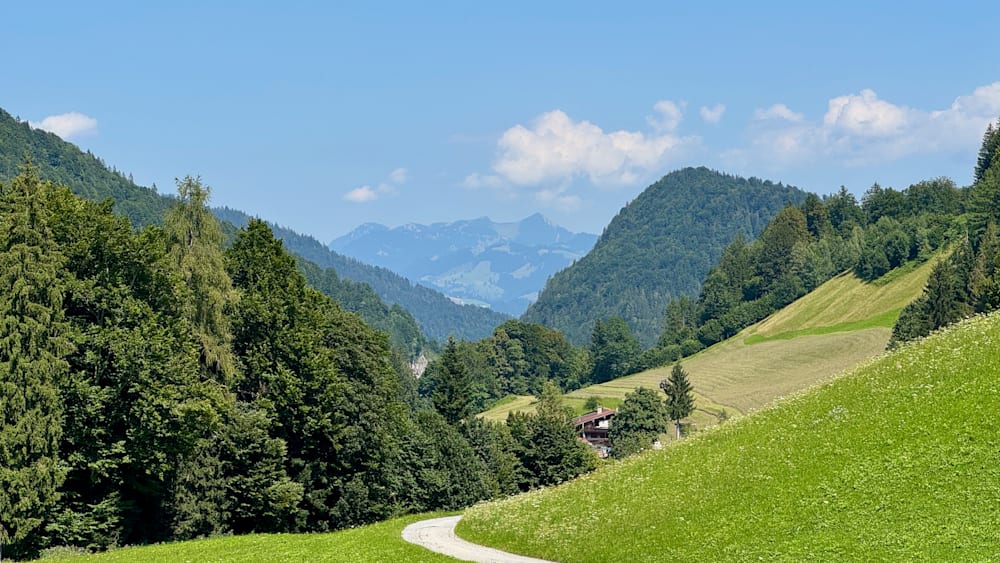 A road goes through a lush green valley with trees and mountains in the distance.