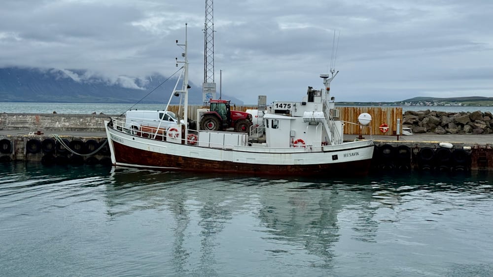 A boat sits at a dock with the number 175 on the side.