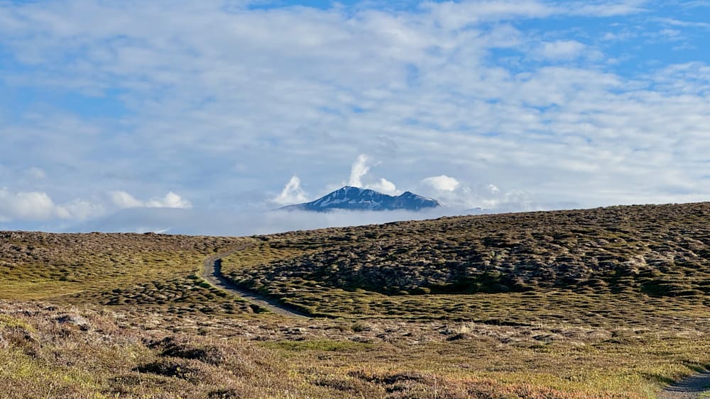 A path winds through a field with a mountain in the distance.