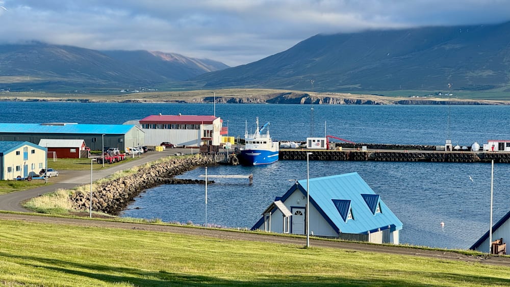 A blue house sits in a grassy field next to a body of water.