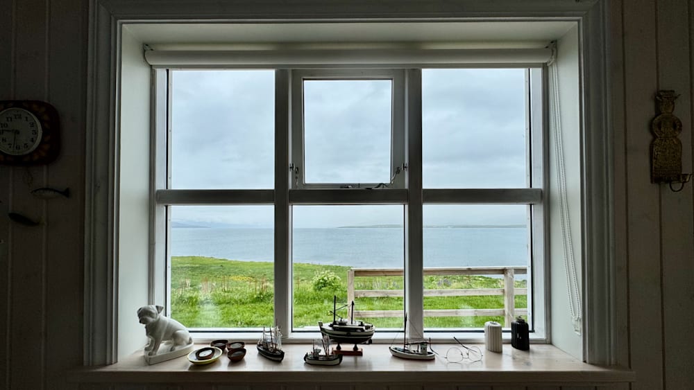 Window with a view of whales.
