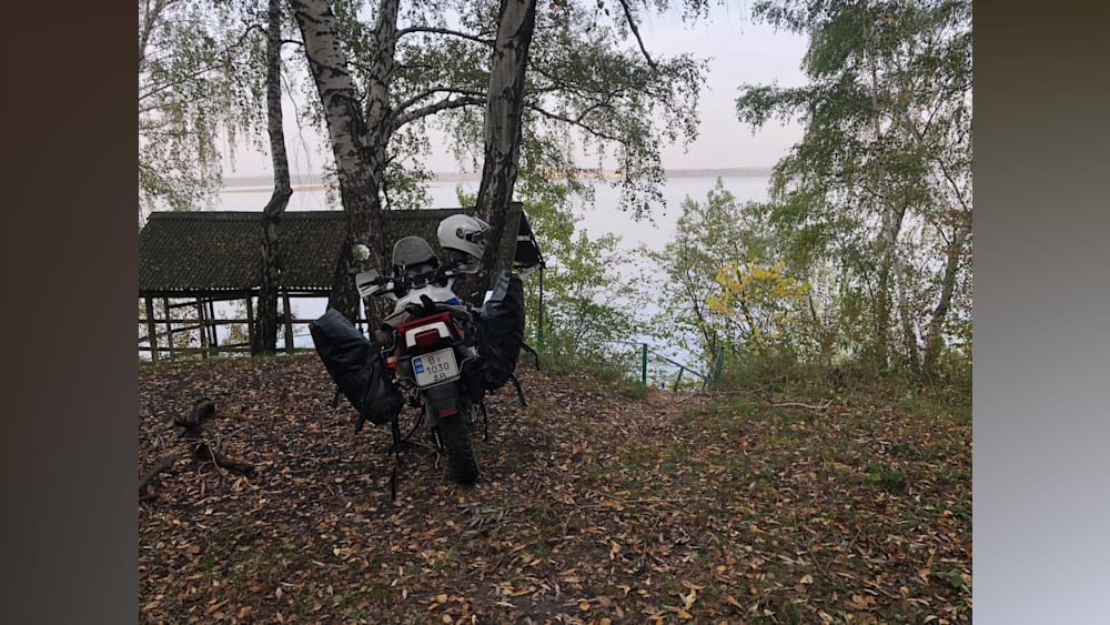 A motorcycle with a white helmet on the back is parked next to a tree by the water.