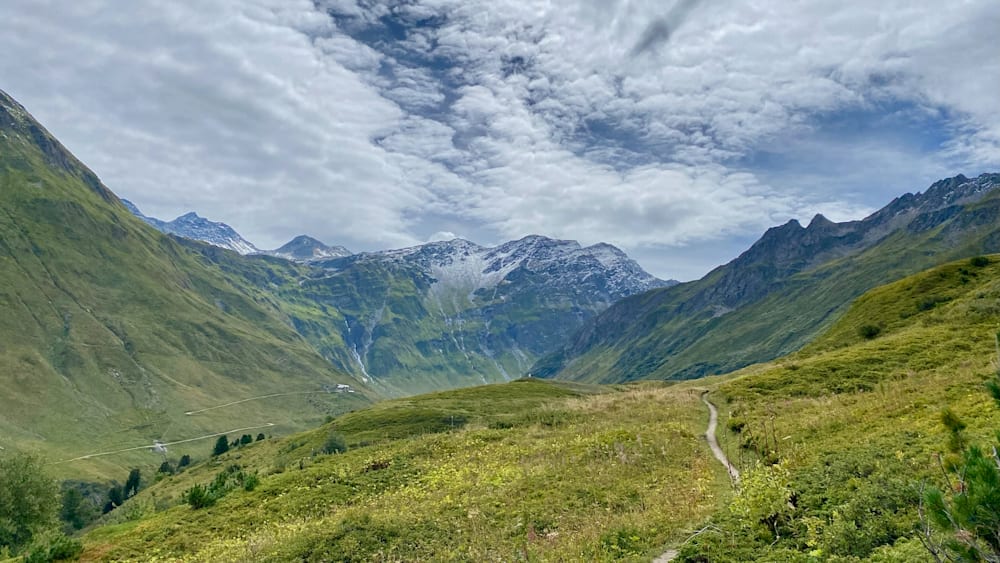 A path winds its way up a mountain side, through a field of tall grass and wildflowers.