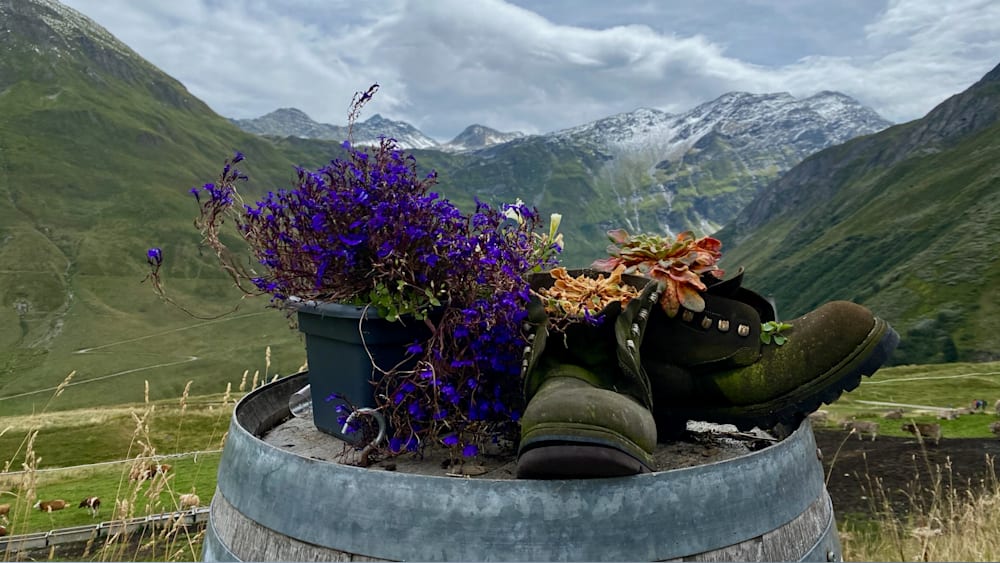 A metal pot with flowers and a shoe on top of it.