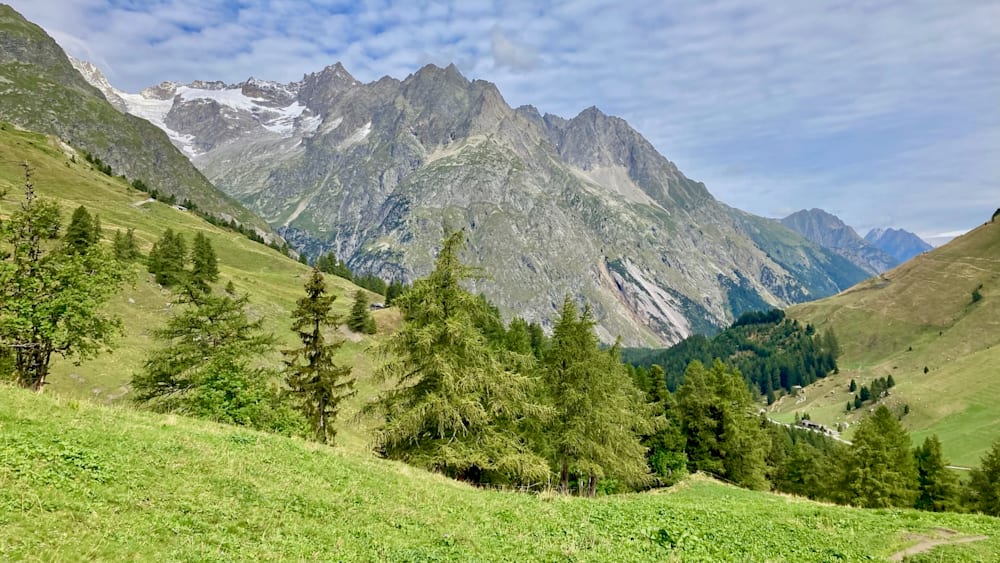A field with grass and trees and a mountain in the background.