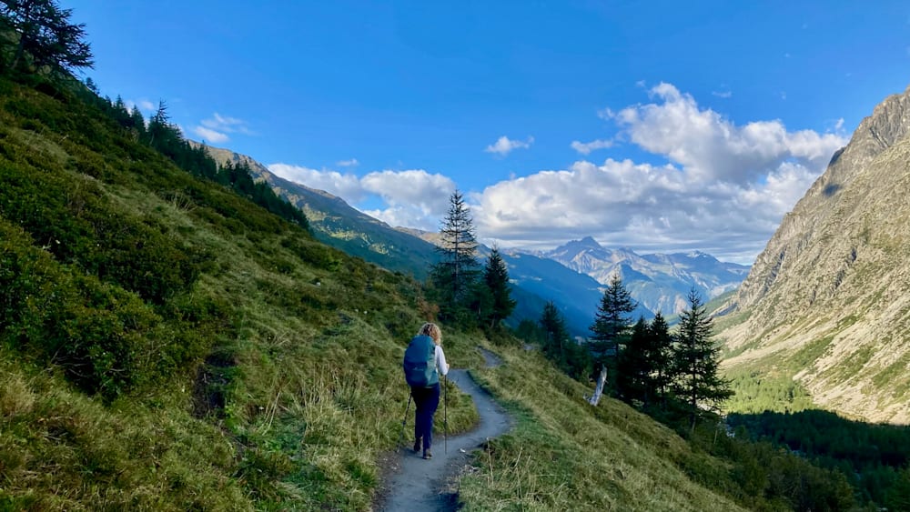 A woman with a blue backpack is hiking up a mountain with trees.