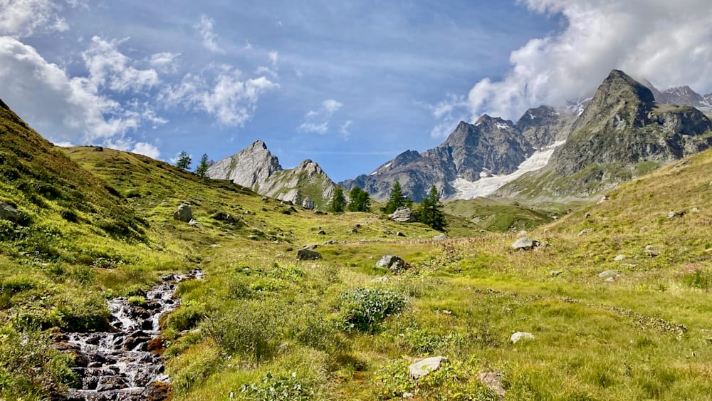 A field with grass and some rocks and a mountain in the background.