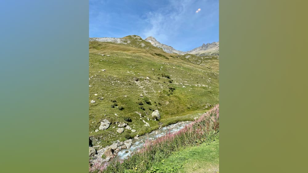 A field with a stream of water and wildflowers in it.