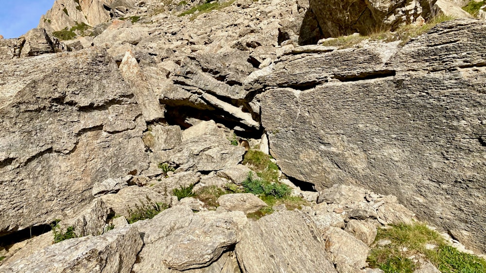 A rock outcropping with a small piece of earth and some plants growing on it.