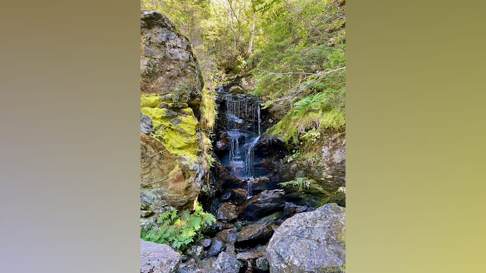A rock wall with a small waterfall running down it.